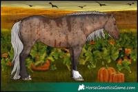 Horse Color:Silver Brown Dun Brindle 