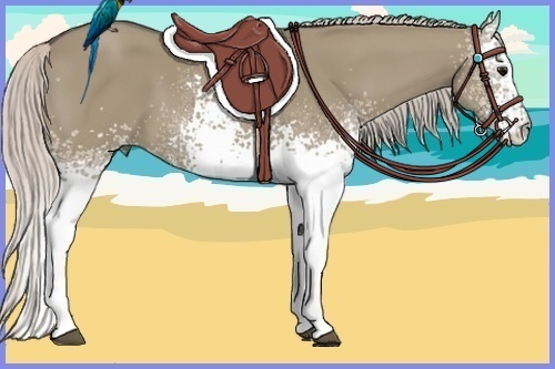 Horse Color:White Spotted Silver Grullo 