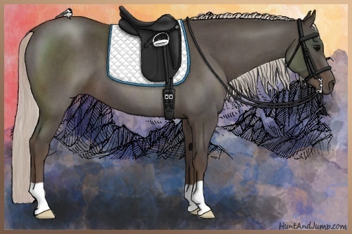 Horse Color:Silver Blue Roan 