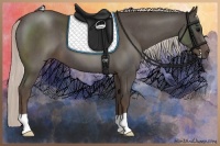 Horse Color:Silver Blue Roan 