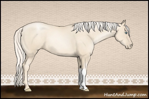 Horse Color:Gold Cream Champagne Pearl 