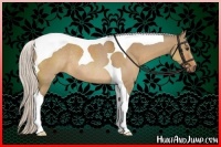 Horse Color:Silver Bay Dun Tobiano Rabicano