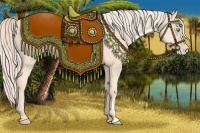 Horse Color:Gold Cream Champagne Pearl 