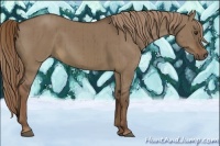 Horse Color:Liver Red Dun Brindle 