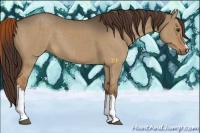 Horse Color:Liver Red Dun Brindle 