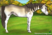 Horse Color:Liver Red Onyx Splash 