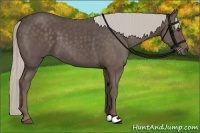 Horse Color:Silver Black 
