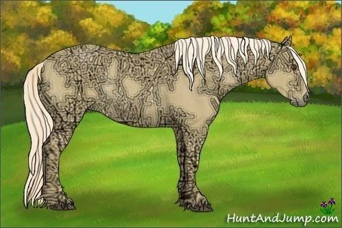 Horse Color:Palomino Ice Dun Rabicano 