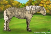 Horse Color:Palomino Ice Dun Rabicano