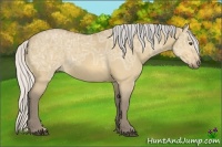Horse Color:Silver Buckskin Ice Dun
