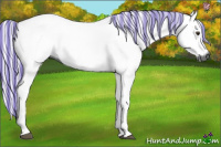Horse Color:Gray Painted Chestnut 