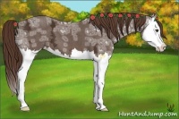 Horse Color:Liver Chestnut Ice Splash 