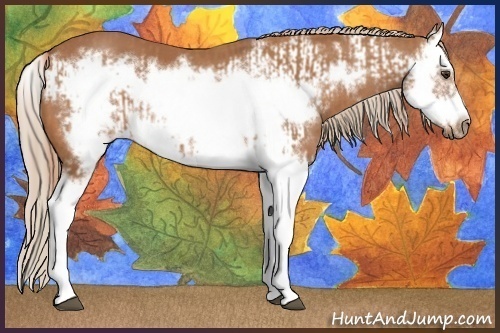 Horse Color:Chestnut Splash Frame  and Chestnut Splash Frame 