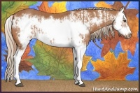 Horse Color:Chestnut Splash Frame  and Chestnut Splash Frame 