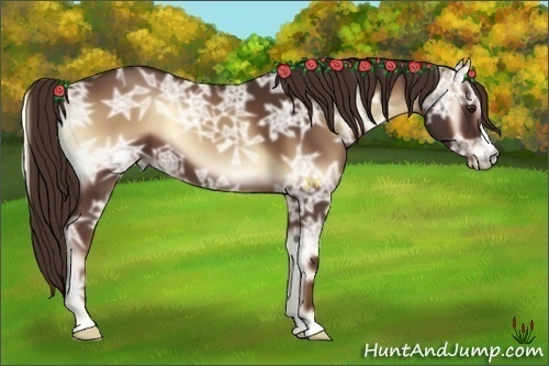 Horse Color:Red Onyx Ice 
