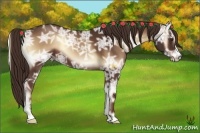 Horse Color:Red Onyx Ice 