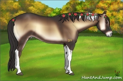 Horse Color:Liver Red Onyx Tobiano 