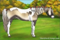 Horse Color:Chocolate Palomino Onyx Tobiano 