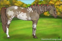 Horse Color:Liver Red Dun Ice 