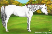 Horse Color:Liver Chestnut Sabino Splash
