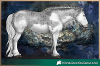 Horse Color:White Spotted Silver Smoky Grullo Chinchilla Splash Rabicano Brindle 