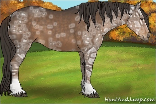 Horse Color:Liver Chestnut Ice