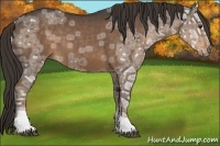 Horse Color:Liver Chestnut Ice 