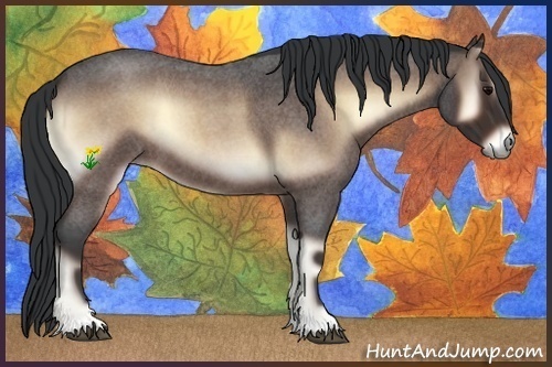 Horse Color:Bay Roan Onyx 