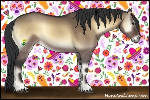 Horse Color:Bay Onyx 