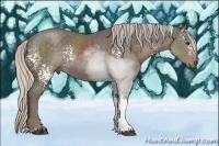 Horse Color:White Spotted Silver Black Sabino 