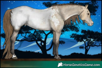 Horse Color:Buckskin Dun Snowcap Brindle 