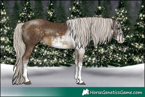 Horse Color:White Spotted Chocolate Silver Buckskin 