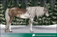 Horse Color:White Spotted Chocolate Silver Buckskin 