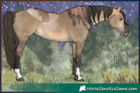 Horse Color:Liver Red Dun and Buckskin Dun
