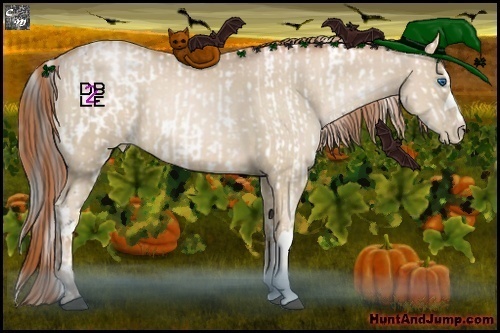 Horse Color:Grullo Frame  and Buckskin Pearl 