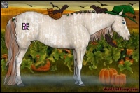 Horse Color:Grullo Frame  and Buckskin Pearl 