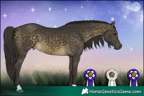 Horse Color:Buckskin Dun 