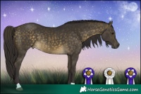 Horse Color:Buckskin Dun 