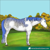Horse Color:Watercolor Buckskin Ice Onyx Splash Tobiano 