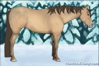 Horse Color:Sable Cream Champagne 