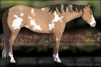 Horse Color:White Spotted Amber Champagne Frame 