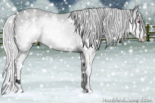 Horse Color:Silver Brown Chinchilla Splash 