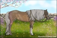 Horse Color:Silver Buckskin 