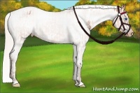 Horse Color:Silver Bay Splash Tobiano Frame Blanket  and Silver Bay Roan Varnish 