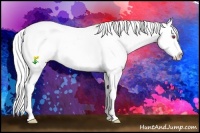 Horse Color:White Spotted Silver Black Chinchilla Splash Appaloosa Rabicano 