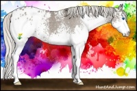 Horse Color:White Spotted Silver Black Splash Blanket Rabicano 