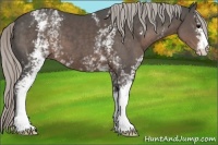 Horse Color:White Spotted Silver Black 