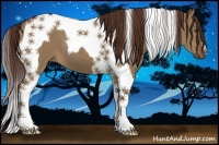 Horse Color:Liver Red Dun Tobiano