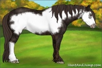 Horse Color:Liver Chestnut Ice Frame 