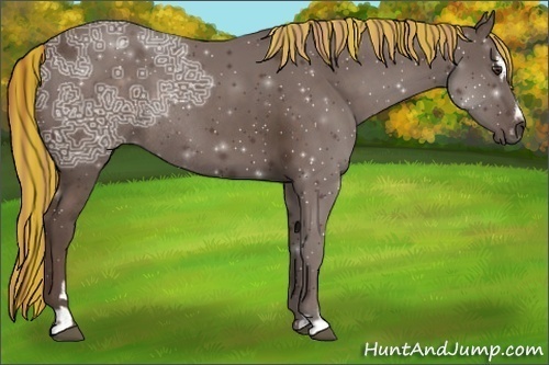 Horse Color:Painted Liver Chestnut Ice Sabino Rabicano